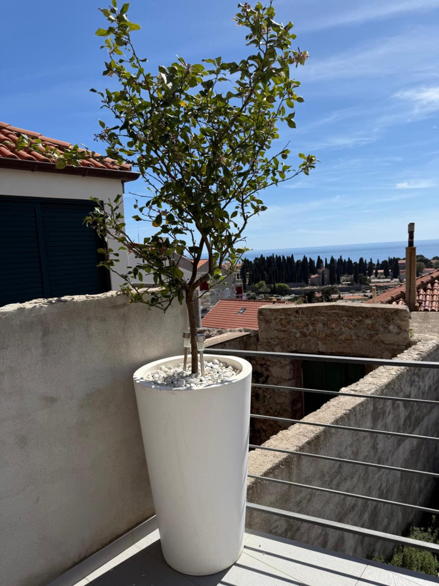 Lemon Tree Dubrovnik Apartments Eksteriør bilde